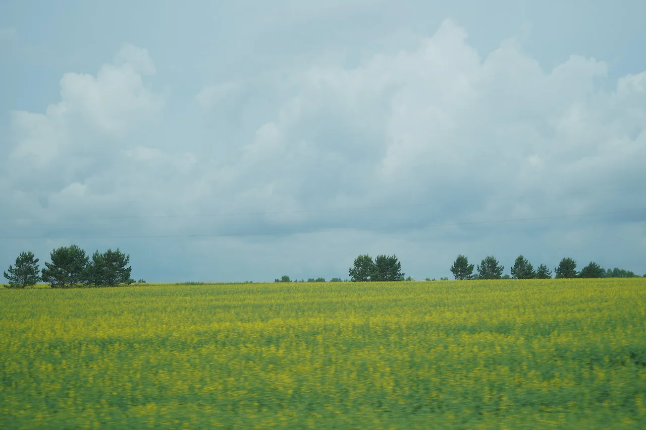 KakaoTalk_Photo_2022-08-17-10-02-34 001.jpeg