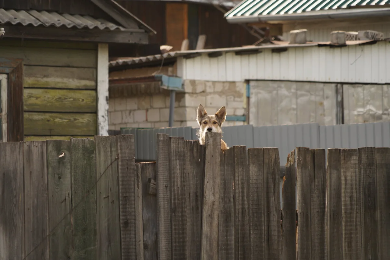 KakaoTalk_Photo_2022-07-08-21-27-23 007.jpeg