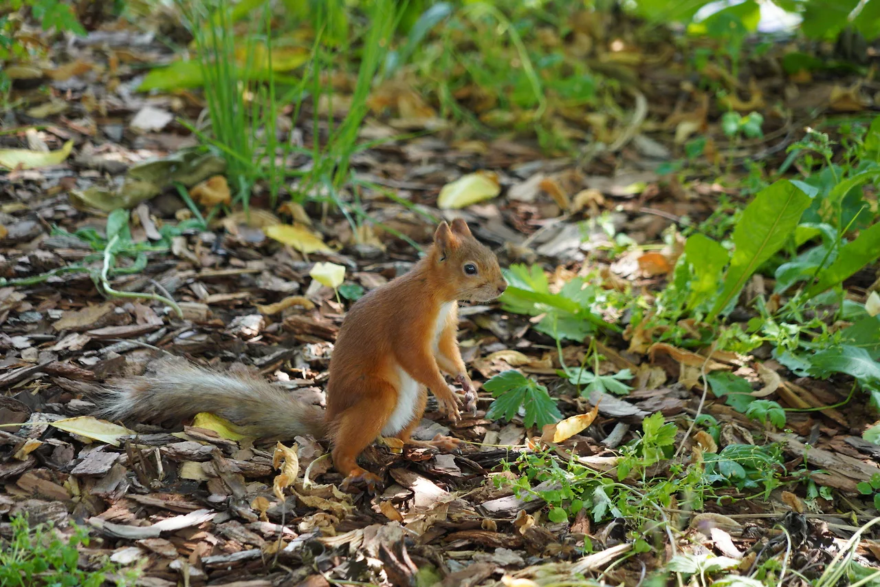 KakaoTalk_Photo_2022-07-30-21-20-59 014.jpeg