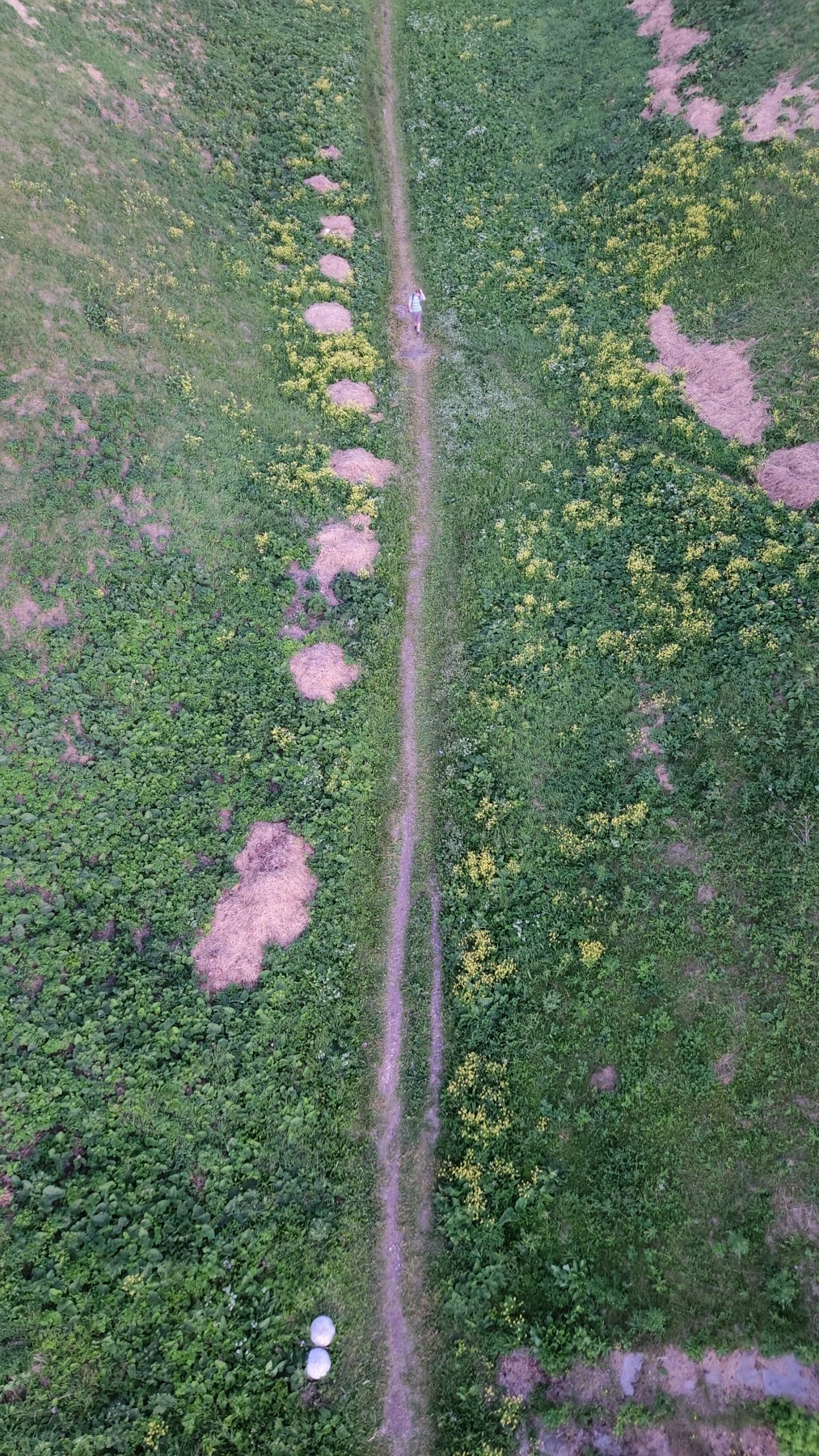 KakaoTalk_Photo_2022-07-18-19-25-27 008.jpeg