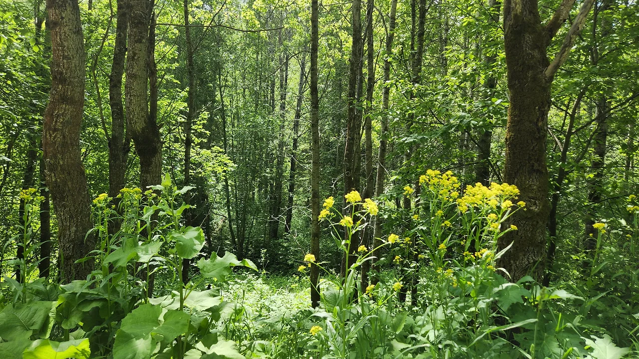 KakaoTalk_Photo_2022-07-12-10-32-53 025.jpeg