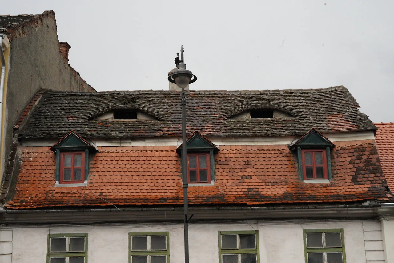 KakaoTalk_Photo_2022-09-18-09-36-10 006.jpeg