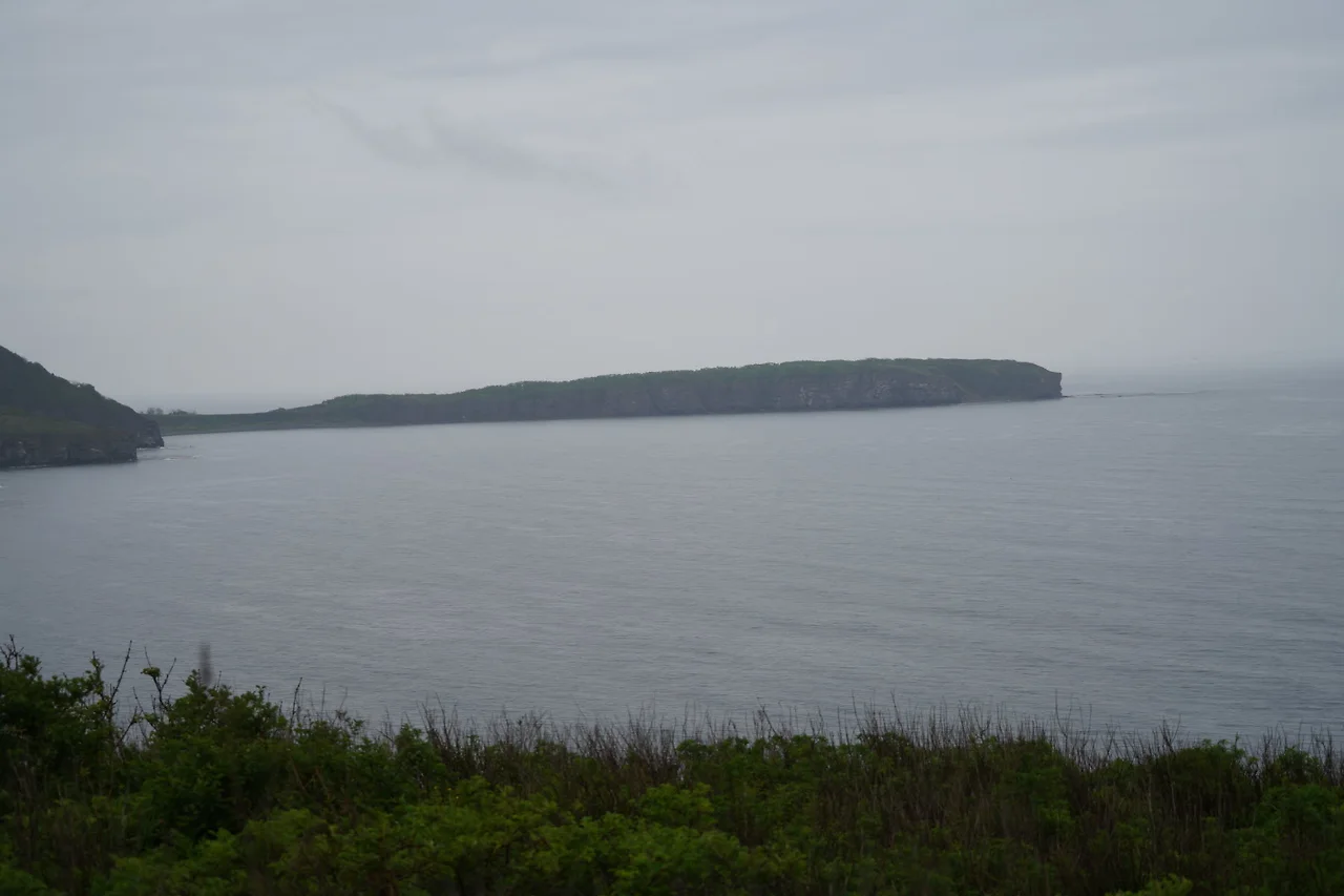 KakaoTalk_Photo_2022-06-27-01-14-14 011.jpeg