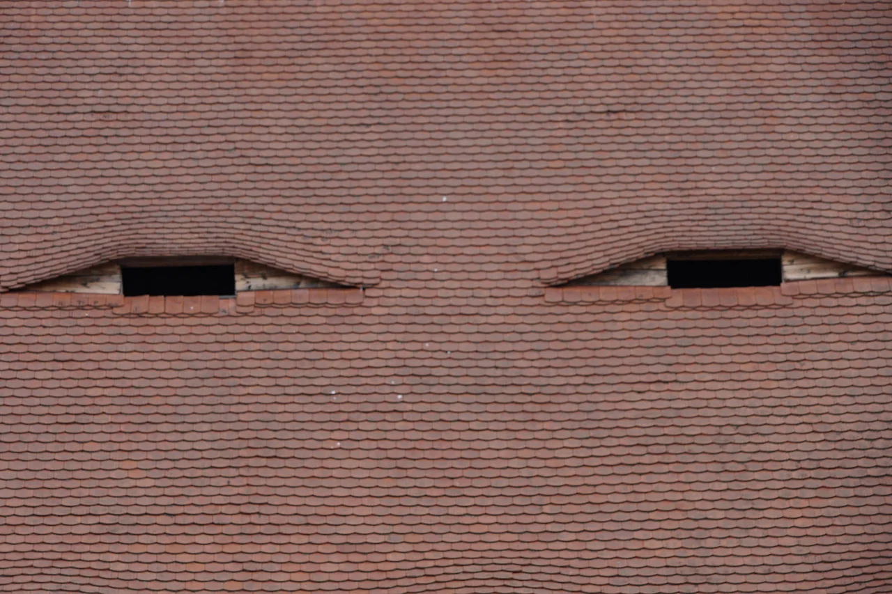 KakaoTalk_Photo_2022-09-18-09-35-59 003.jpeg