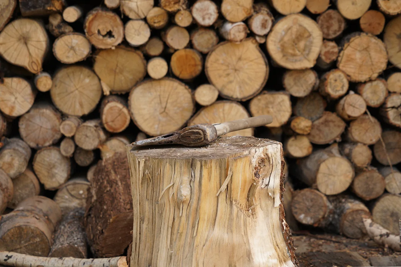 KakaoTalk_Photo_2022-07-12-10-07-15 011.jpeg