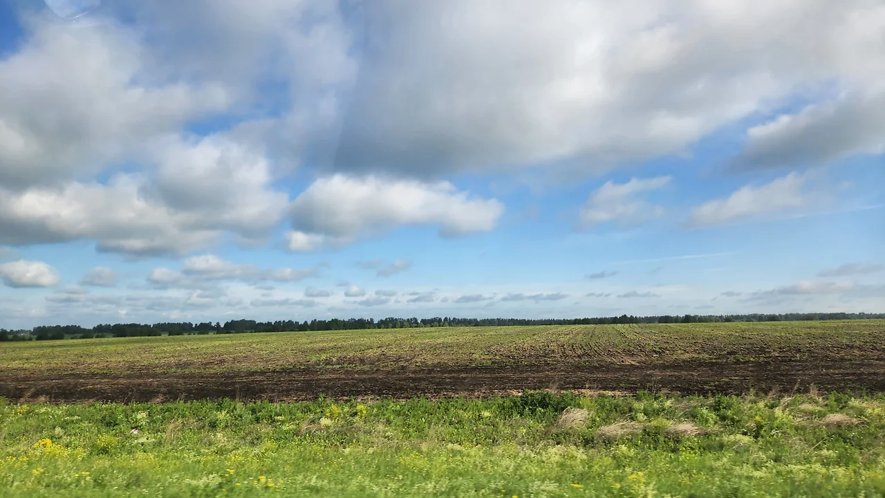 KakaoTalk_Photo_2022-08-06-12-04-32 009.jpeg