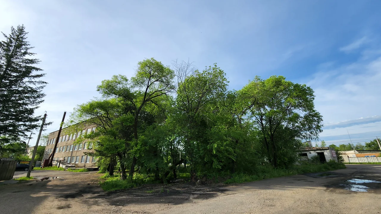 KakaoTalk_Photo_2022-07-08-21-27-26 030.jpeg