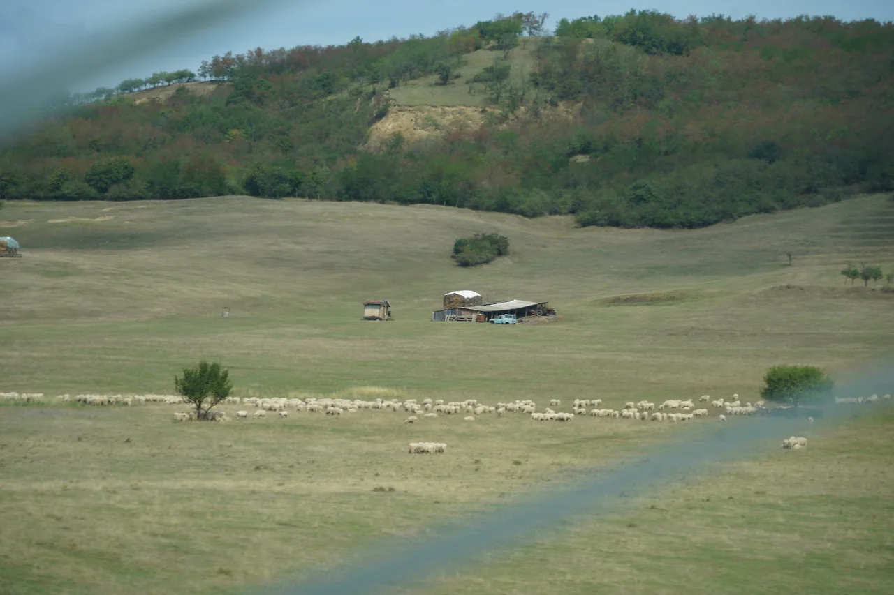 KakaoTalk_Photo_2022-09-18-09-36-10 016.jpeg