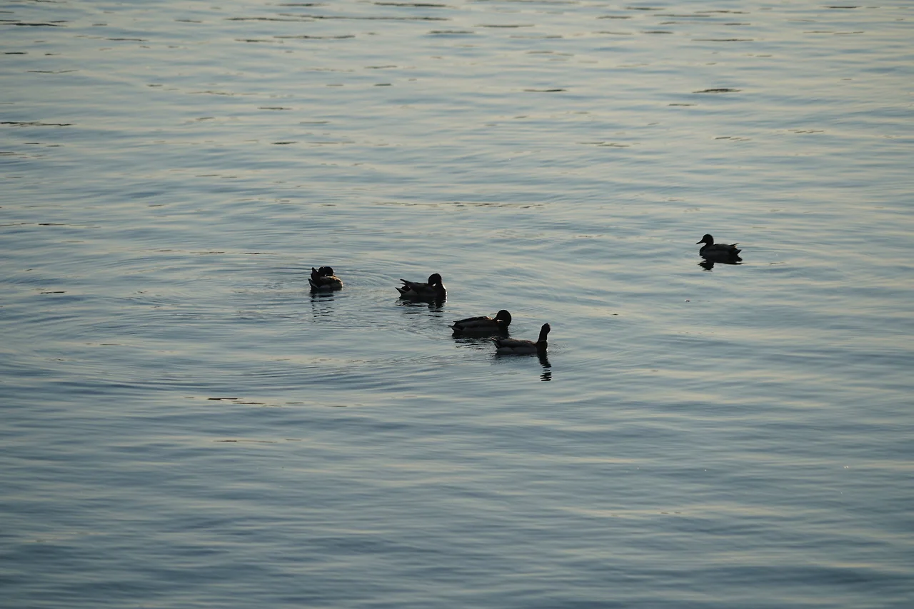 KakaoTalk_Photo_2022-06-22-10-32-39 014.jpeg