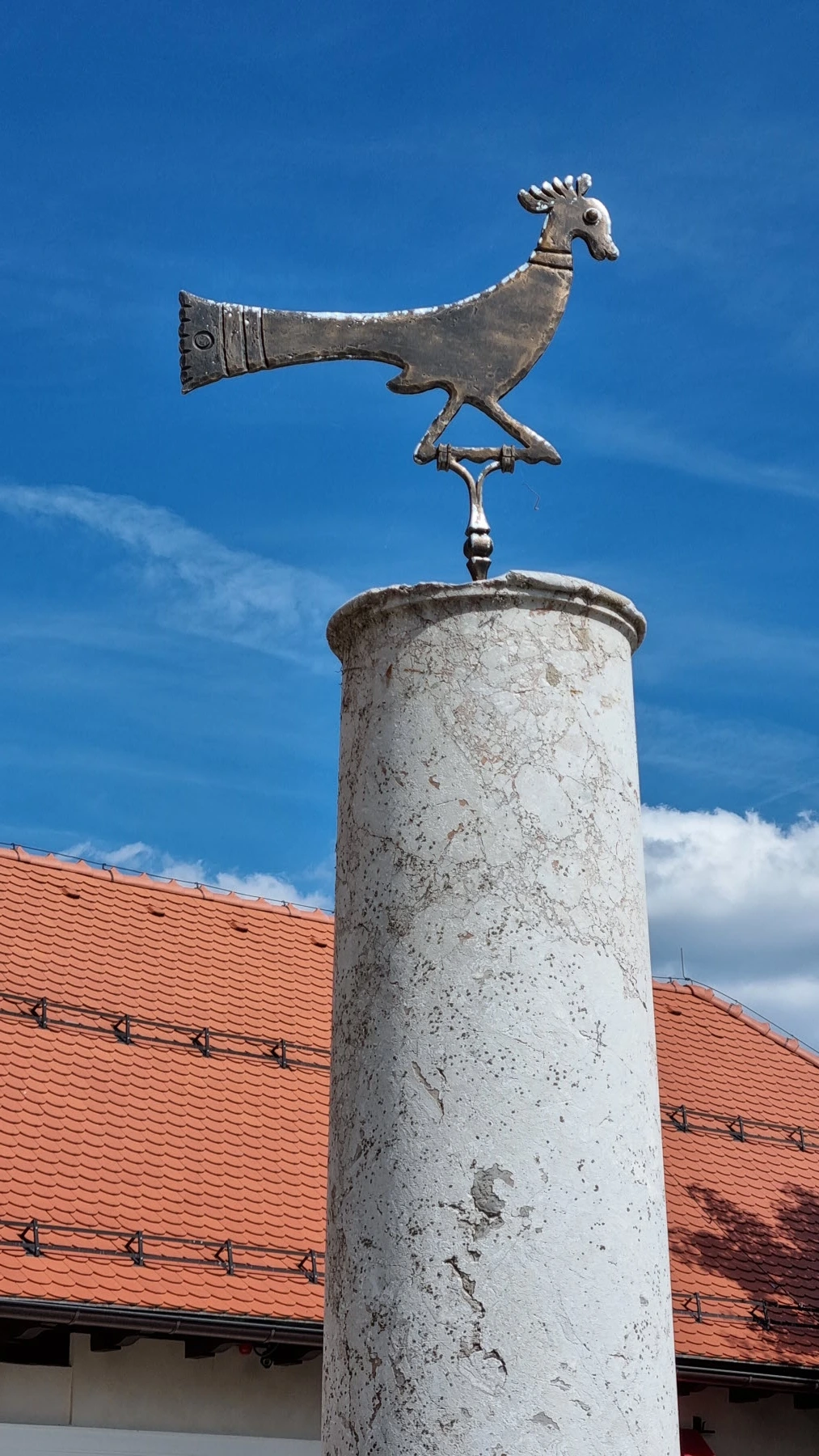 KakaoTalk_Photo_2022-09-03-09-55-38 025.jpeg