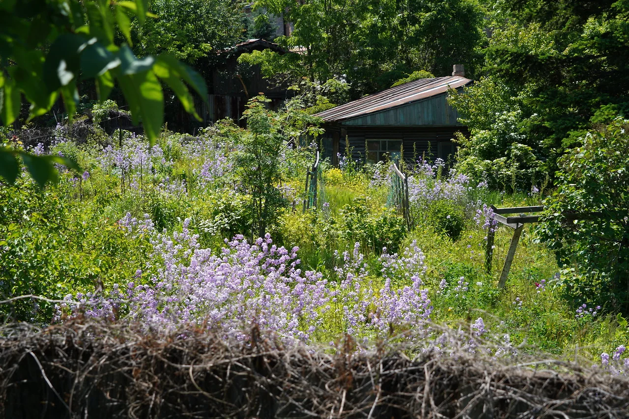 KakaoTalk_Photo_2022-06-28-17-43-35 015.jpeg