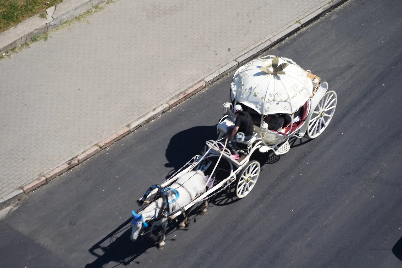 KakaoTalk_Photo_2022-07-19-23-39-00 026.jpeg