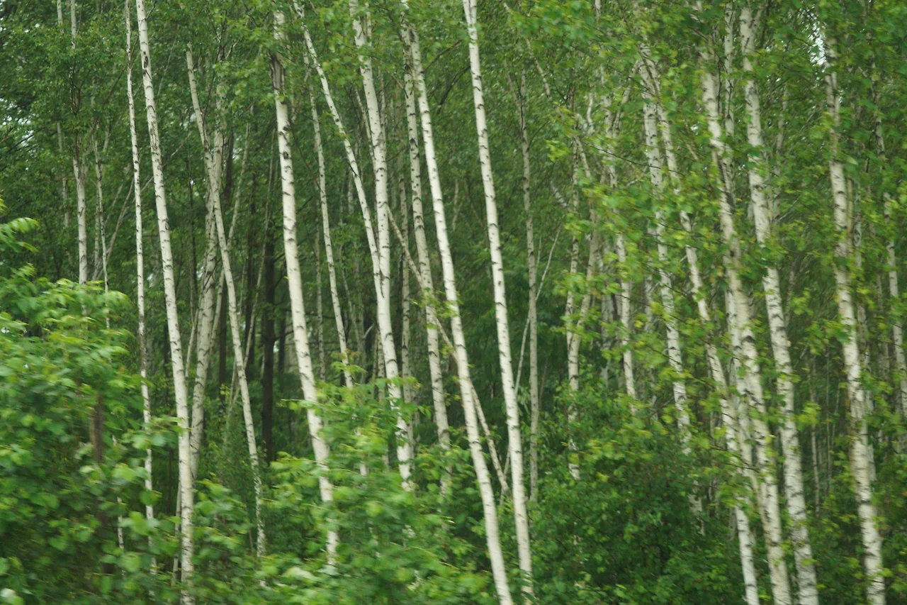 KakaoTalk_Photo_2022-07-05-23-32-25 024.jpeg