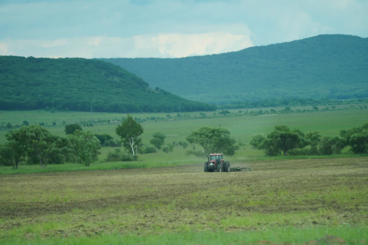 KakaoTalk_Photo_2022-07-05-23-32-23 015.jpeg