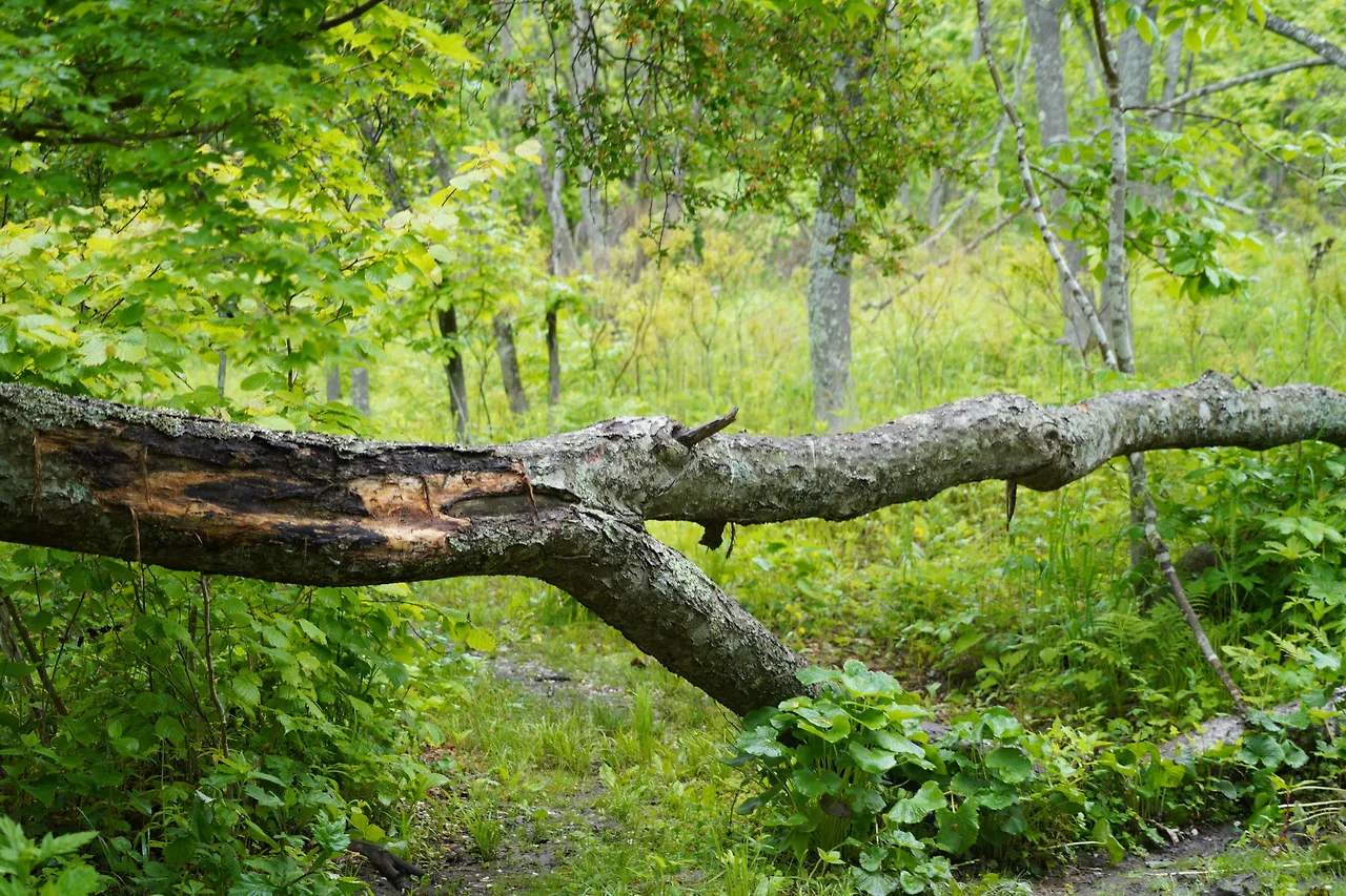 KakaoTalk_Photo_2022-06-27-01-14-15 019.jpeg