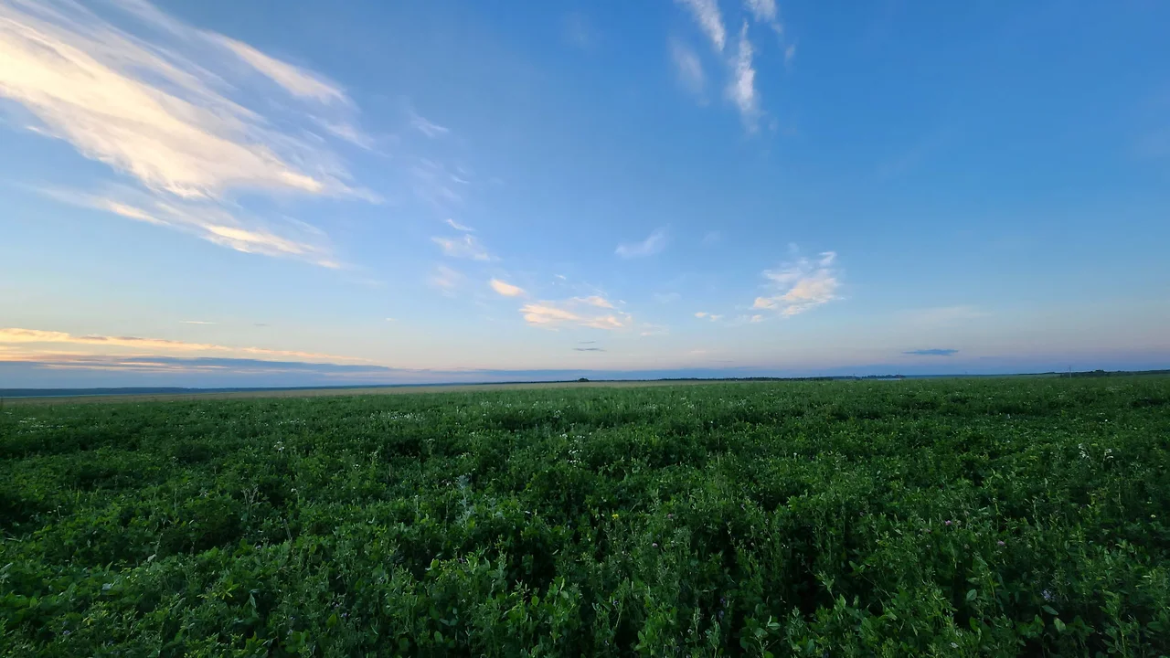 KakaoTalk_Photo_2022-07-12-10-33-27 008.jpeg