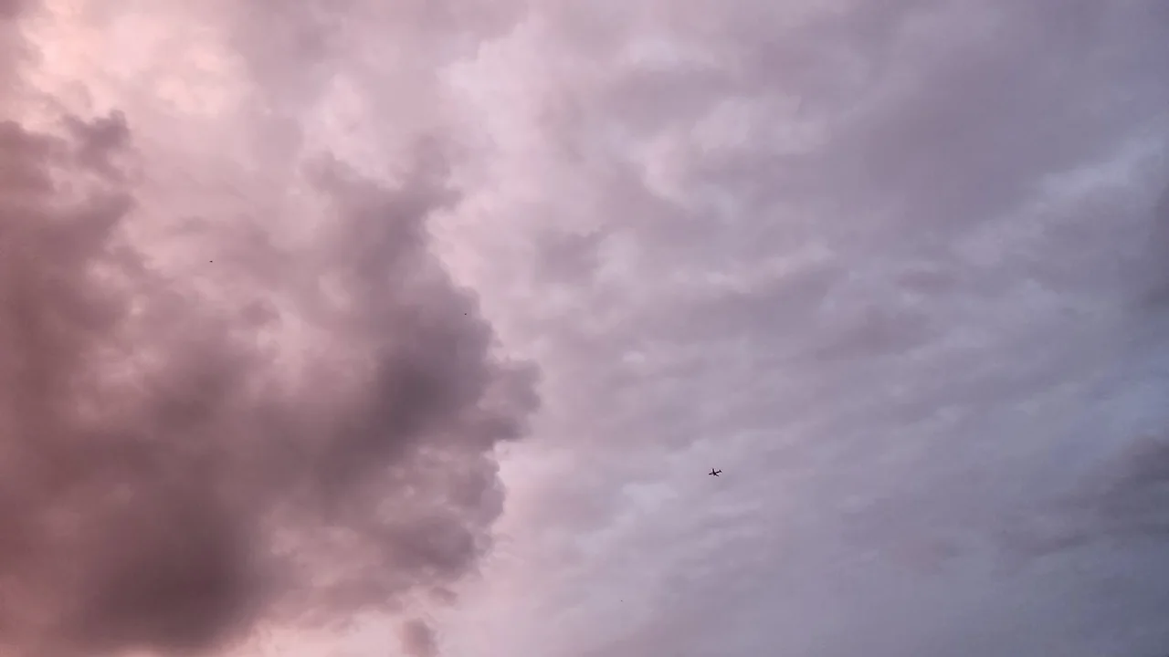 KakaoTalk_Photo_2022-06-19-10-13-56 013.jpeg