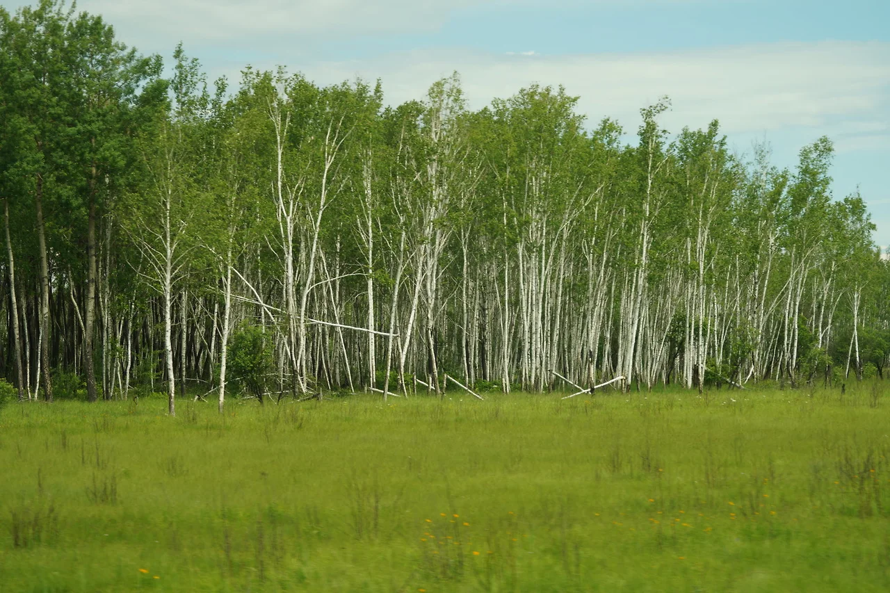 KakaoTalk_Photo_2022-07-07-17-56-55 014.jpeg