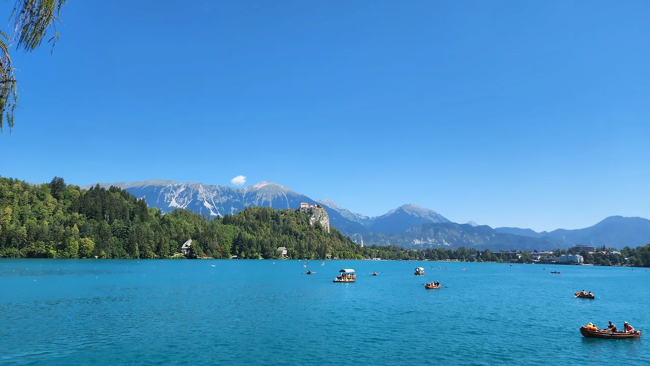 KakaoTalk_Photo_2022-09-03-09-55-30 012.jpeg