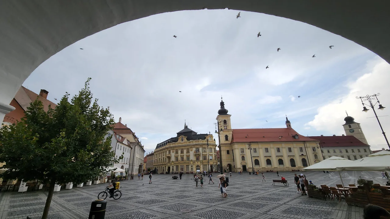 KakaoTalk_Photo_2022-09-18-09-36-10 010.jpeg