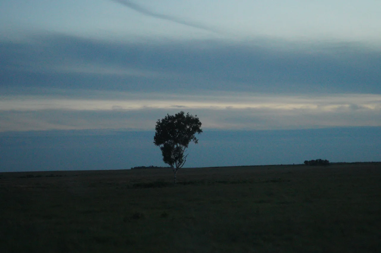 KakaoTalk_Photo_2022-07-07-17-57-10 009.jpeg