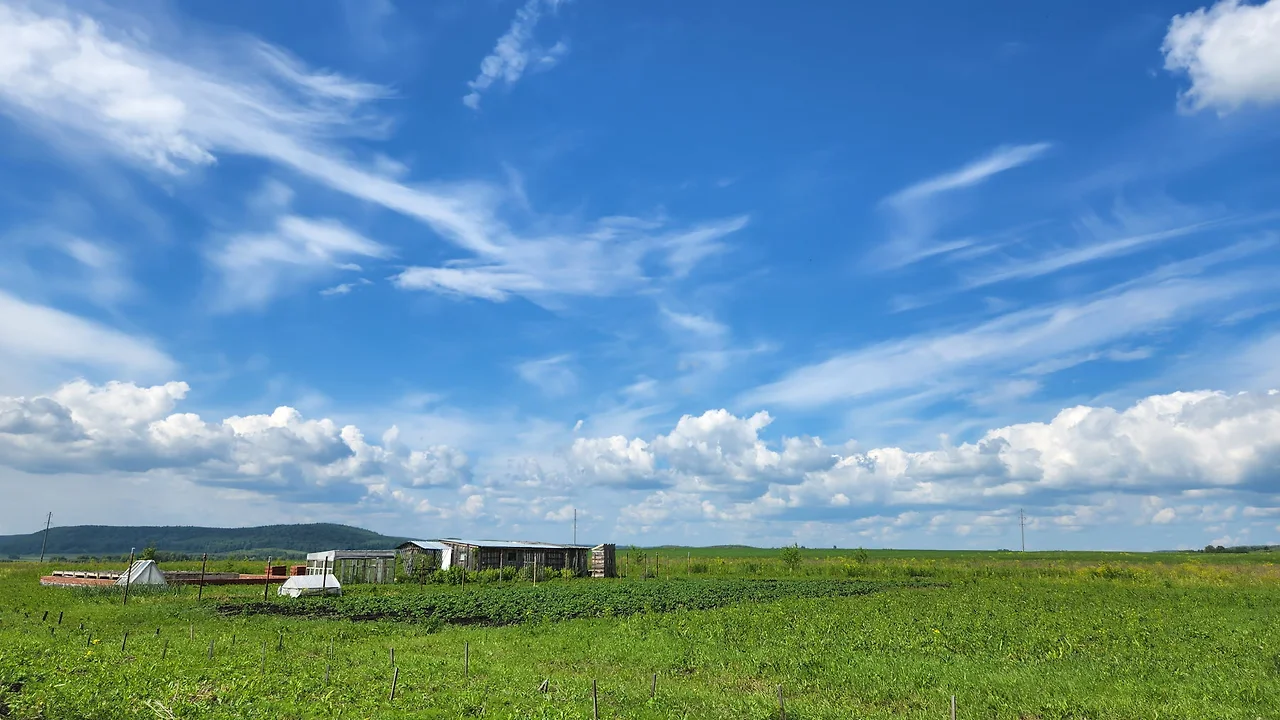 KakaoTalk_Photo_2022-07-12-10-32-52 020.jpeg