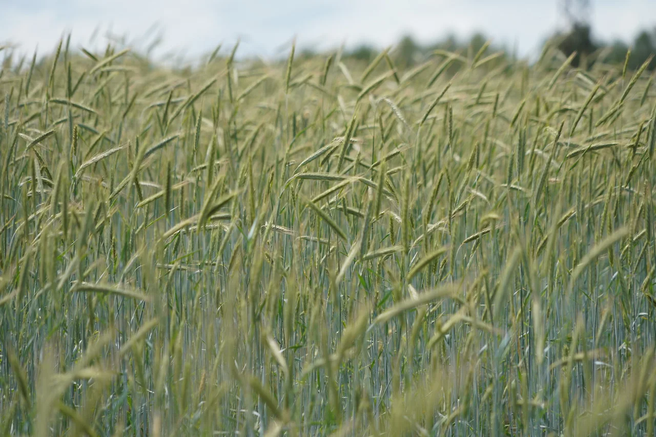 KakaoTalk_Photo_2022-08-17-10-02-36 016.jpeg