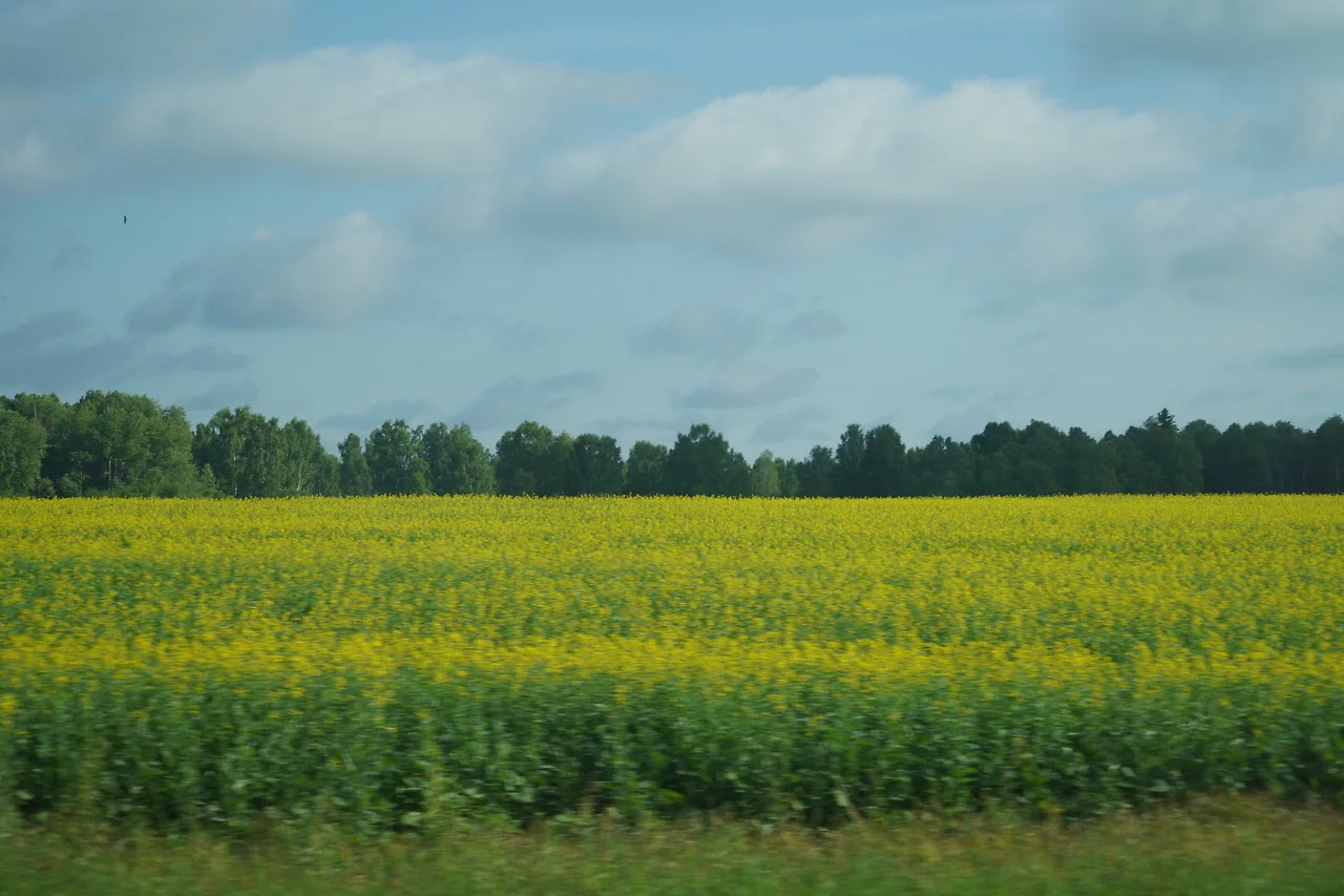 KakaoTalk_Photo_2022-08-17-10-03-10 026.jpeg