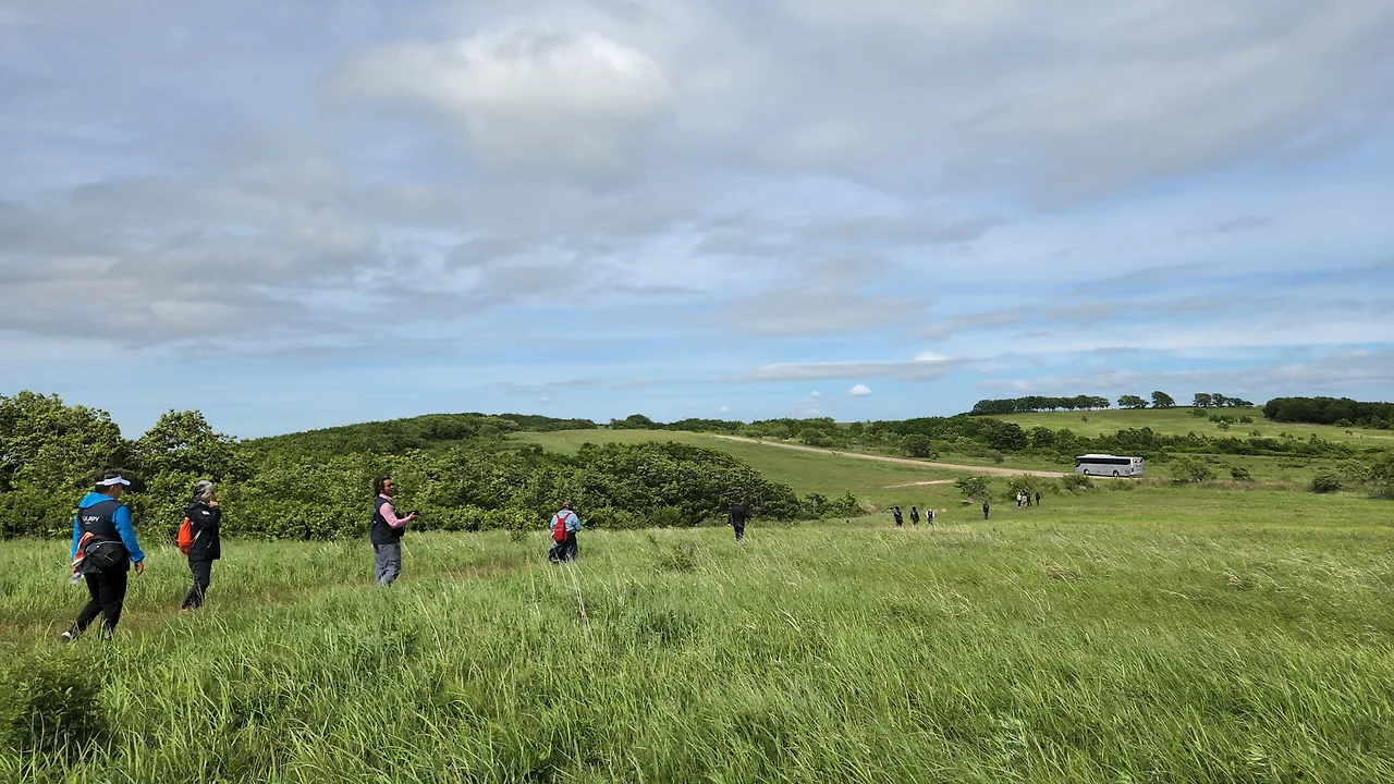 KakaoTalk_Photo_2022-07-05-23-20-38 010.jpeg