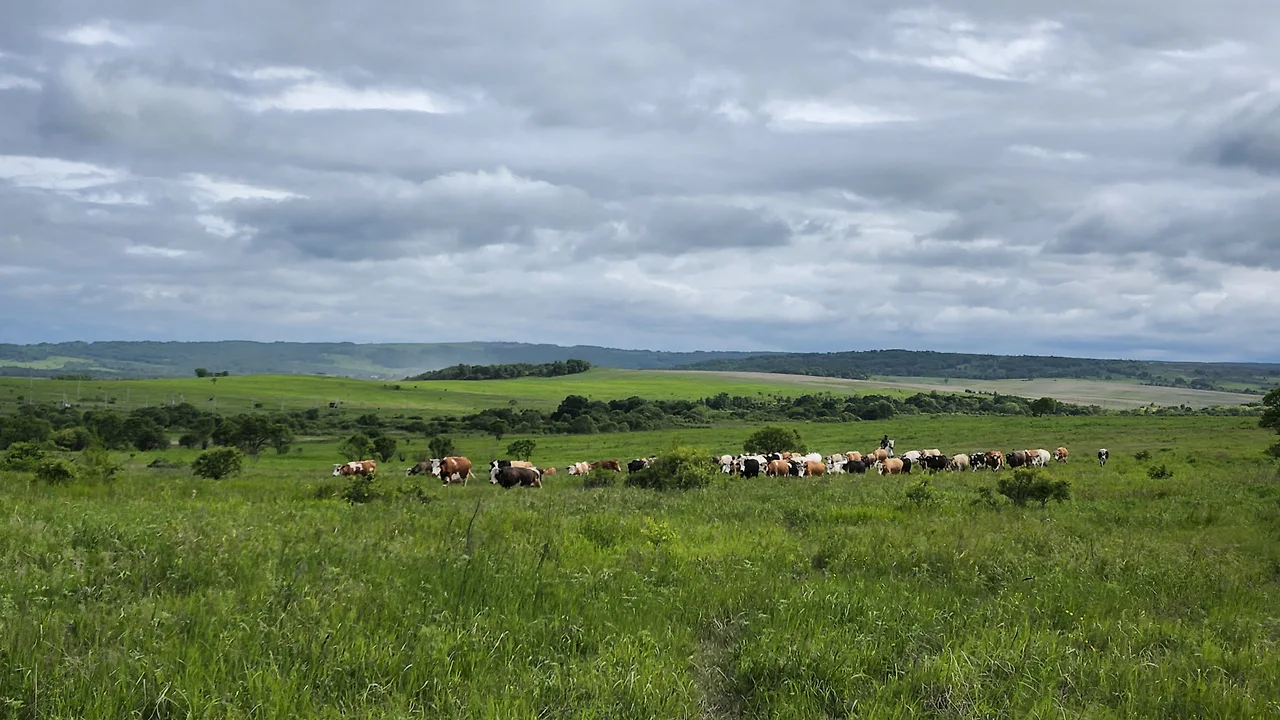 KakaoTalk_Photo_2022-07-05-23-20-07 002.jpeg