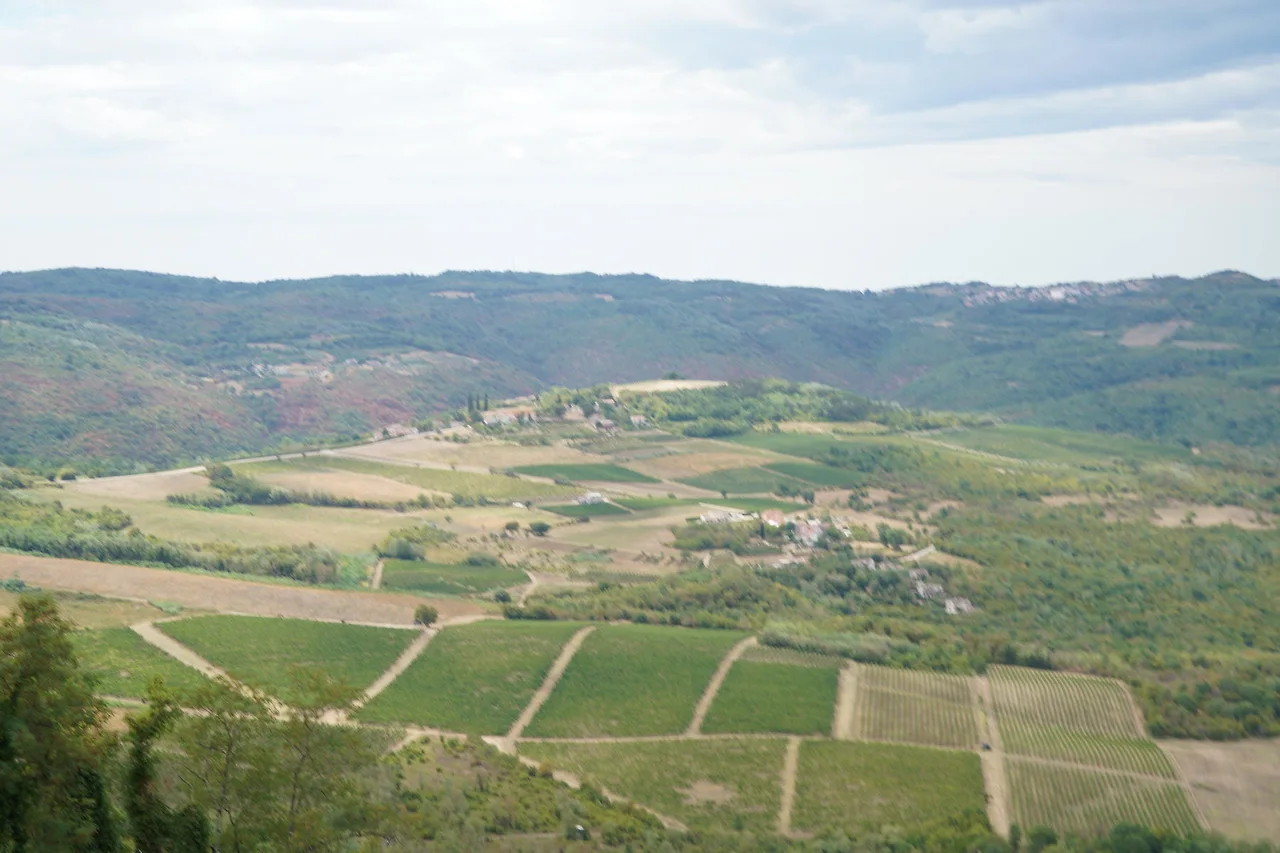 KakaoTalk_Photo_2022-08-26-11-13-18 007.jpeg