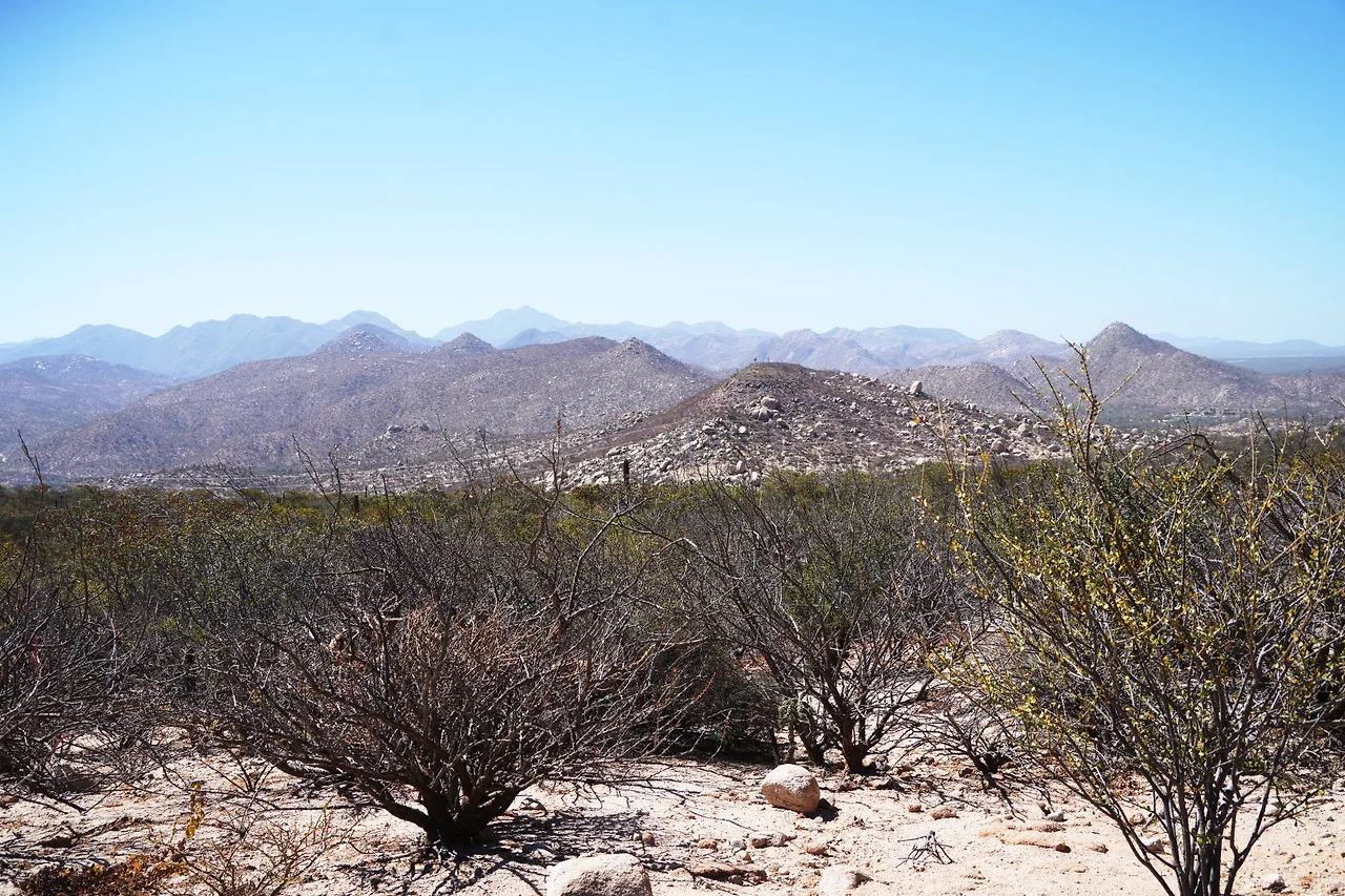 [꾸미기]DSC05875 - 복사본.JPG