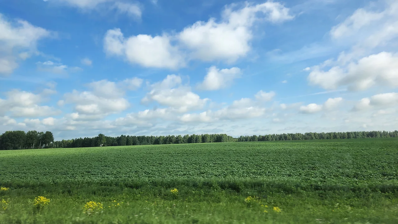 KakaoTalk_Photo_2022-08-06-12-04-31 008.jpeg