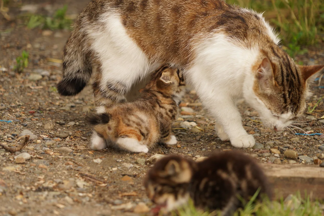 KakaoTalk_Photo_2022-07-07-17-56-55 007.jpeg