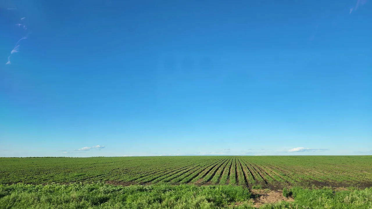 KakaoTalk_Photo_2022-07-07-17-56-36 026.jpeg