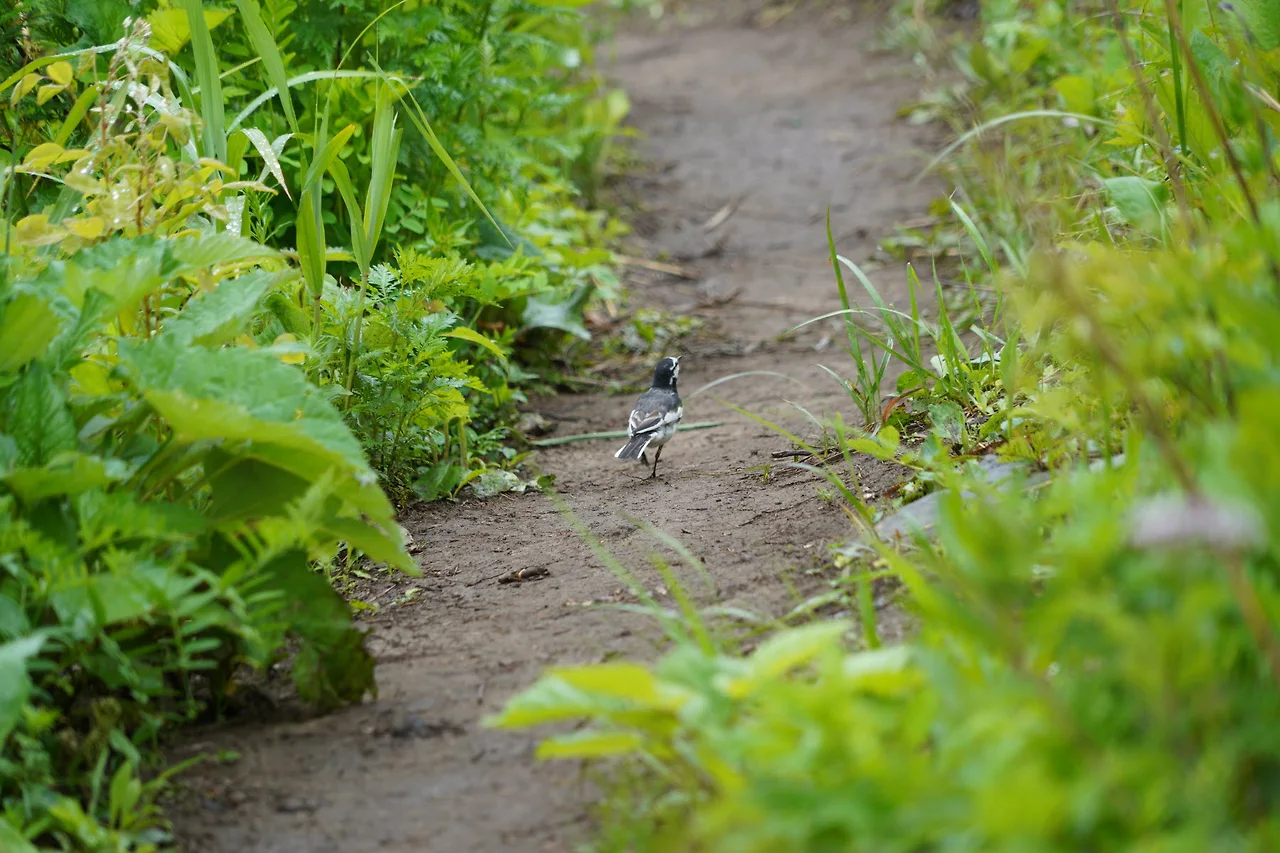 KakaoTalk_Photo_2022-06-27-01-14-15 017.jpeg