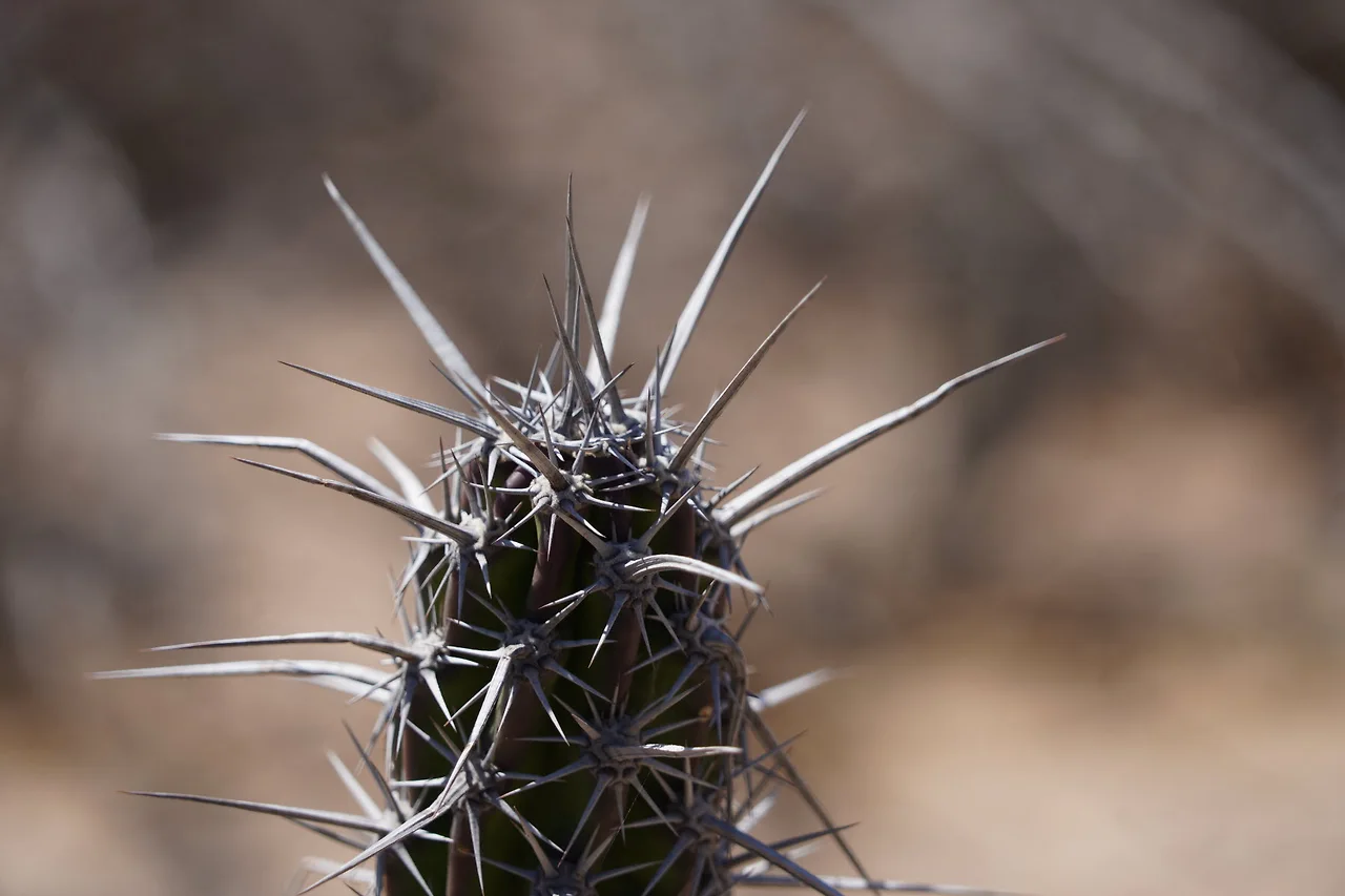 [꾸미기]DSC05916 - 복사본.JPG