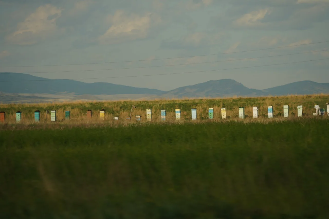 KakaoTalk_Photo_2022-08-06-11-57-04 004.jpeg