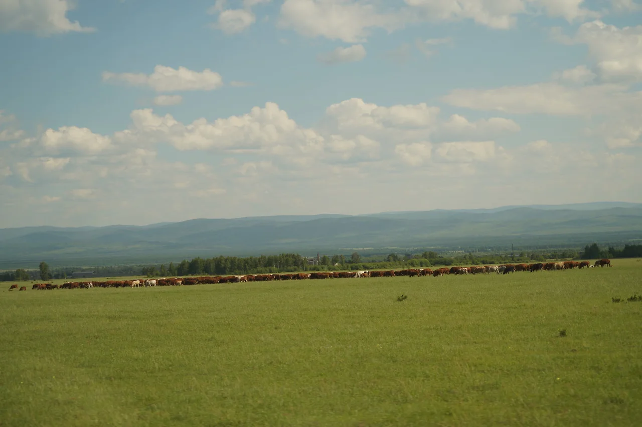 KakaoTalk_Photo_2022-08-06-11-56-43 013.jpeg