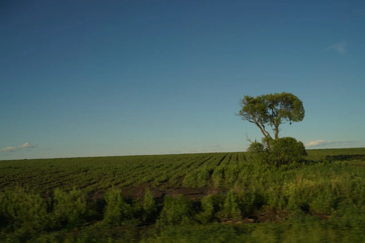 KakaoTalk_Photo_2022-07-07-17-56-55 027.jpeg