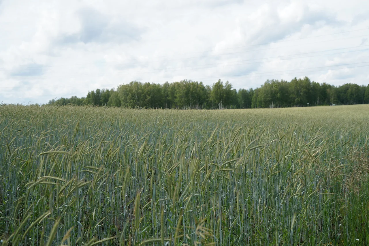 KakaoTalk_Photo_2022-08-17-10-02-36 017.jpeg