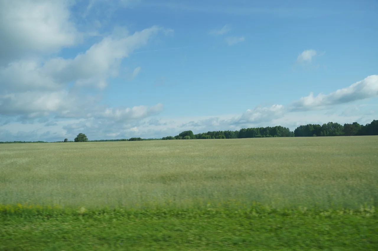 KakaoTalk_Photo_2022-08-17-10-03-10 027.jpeg