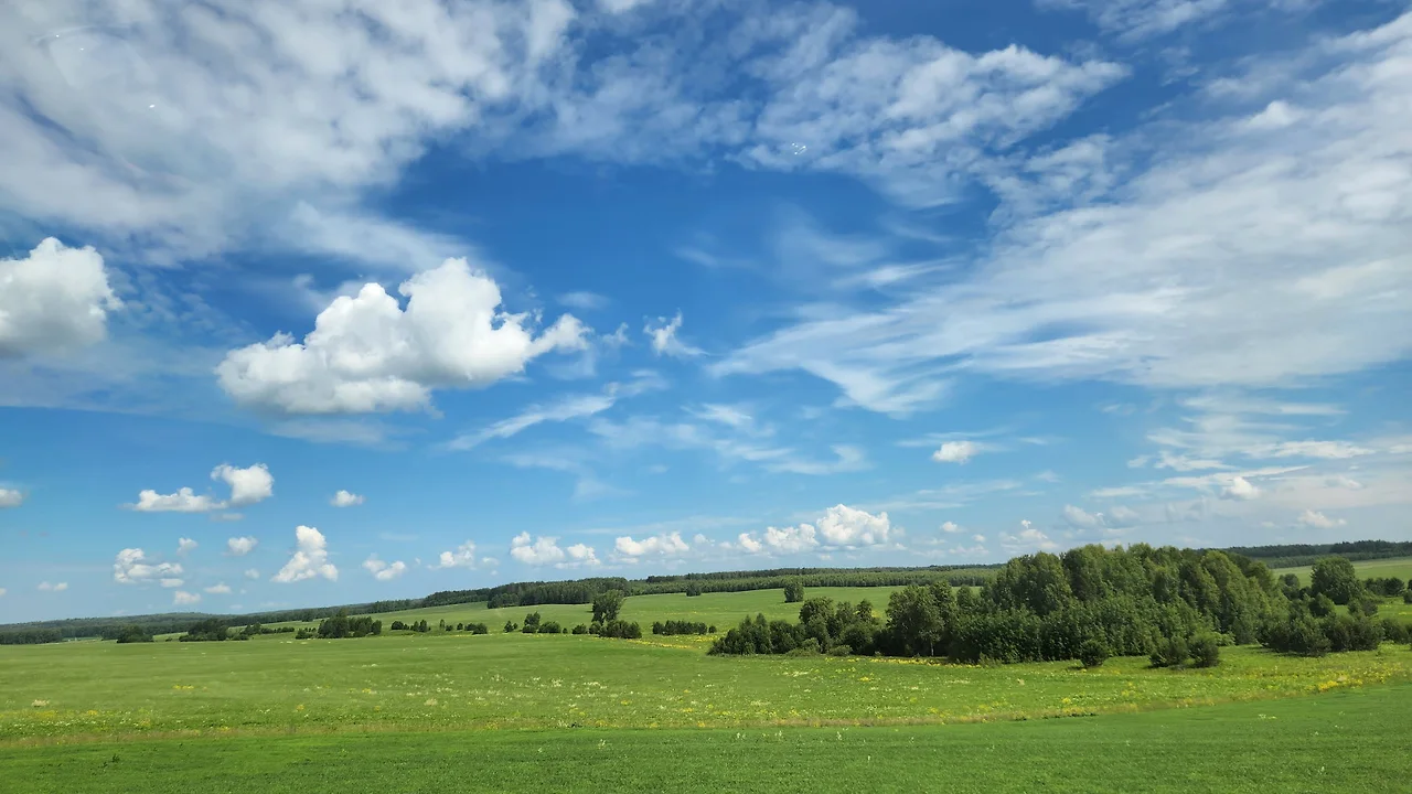 KakaoTalk_Photo_2022-07-12-10-32-52 019.jpeg