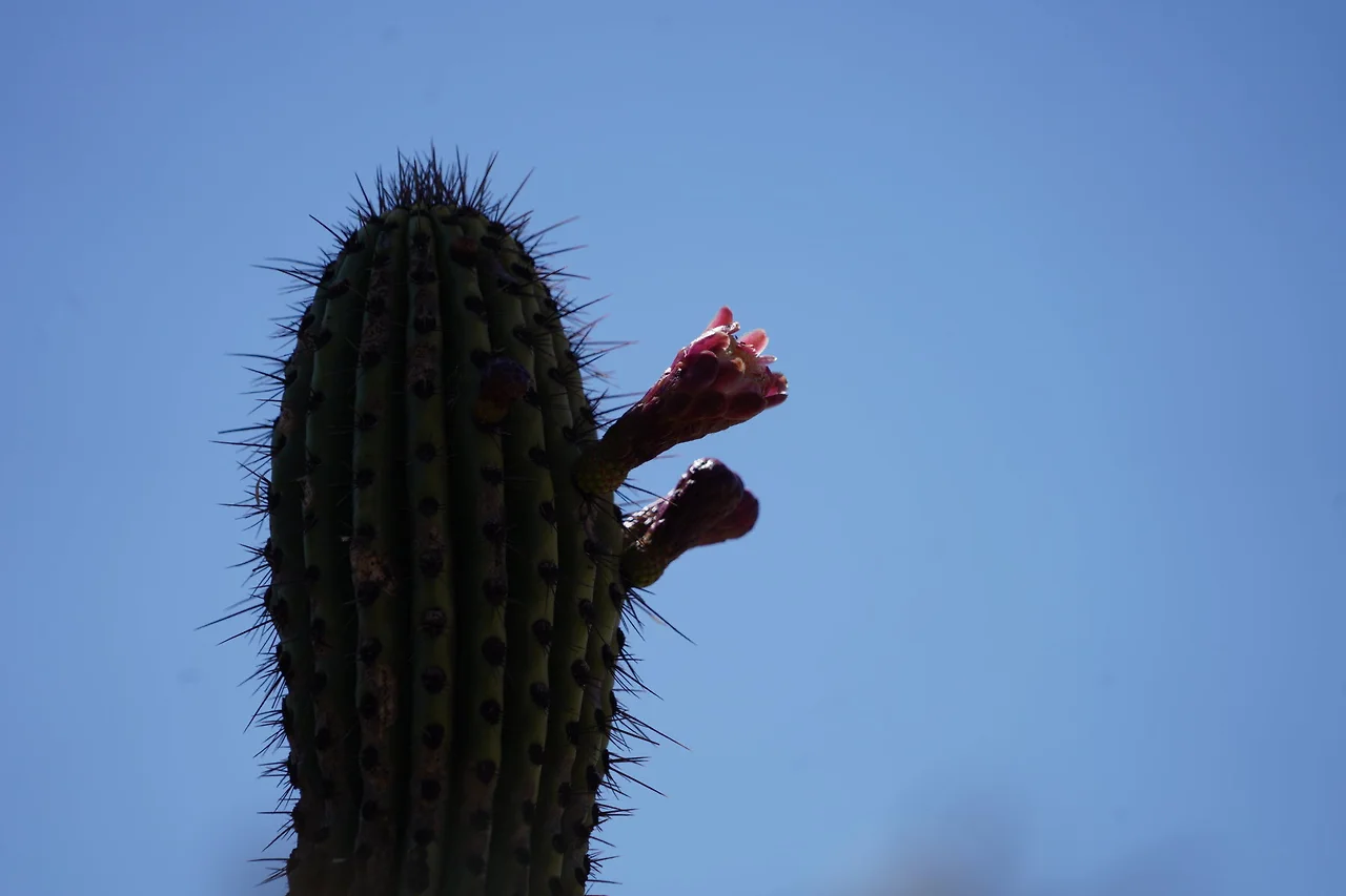 [꾸미기]DSC05898 - 복사본.JPG