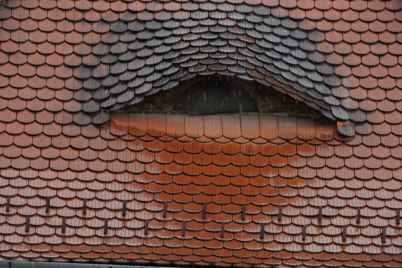 KakaoTalk_Photo_2022-09-18-09-36-10 003.jpeg