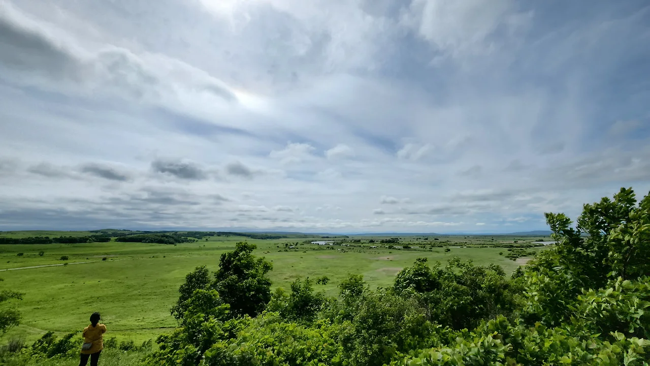 KakaoTalk_Photo_2022-07-05-23-20-38 005.jpeg