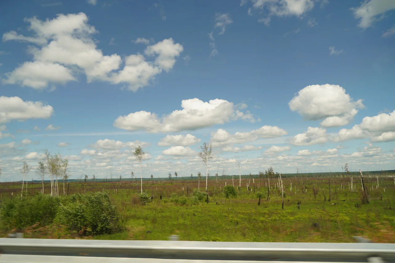 KakaoTalk_Photo_2022-07-08-21-27-25 021.jpeg