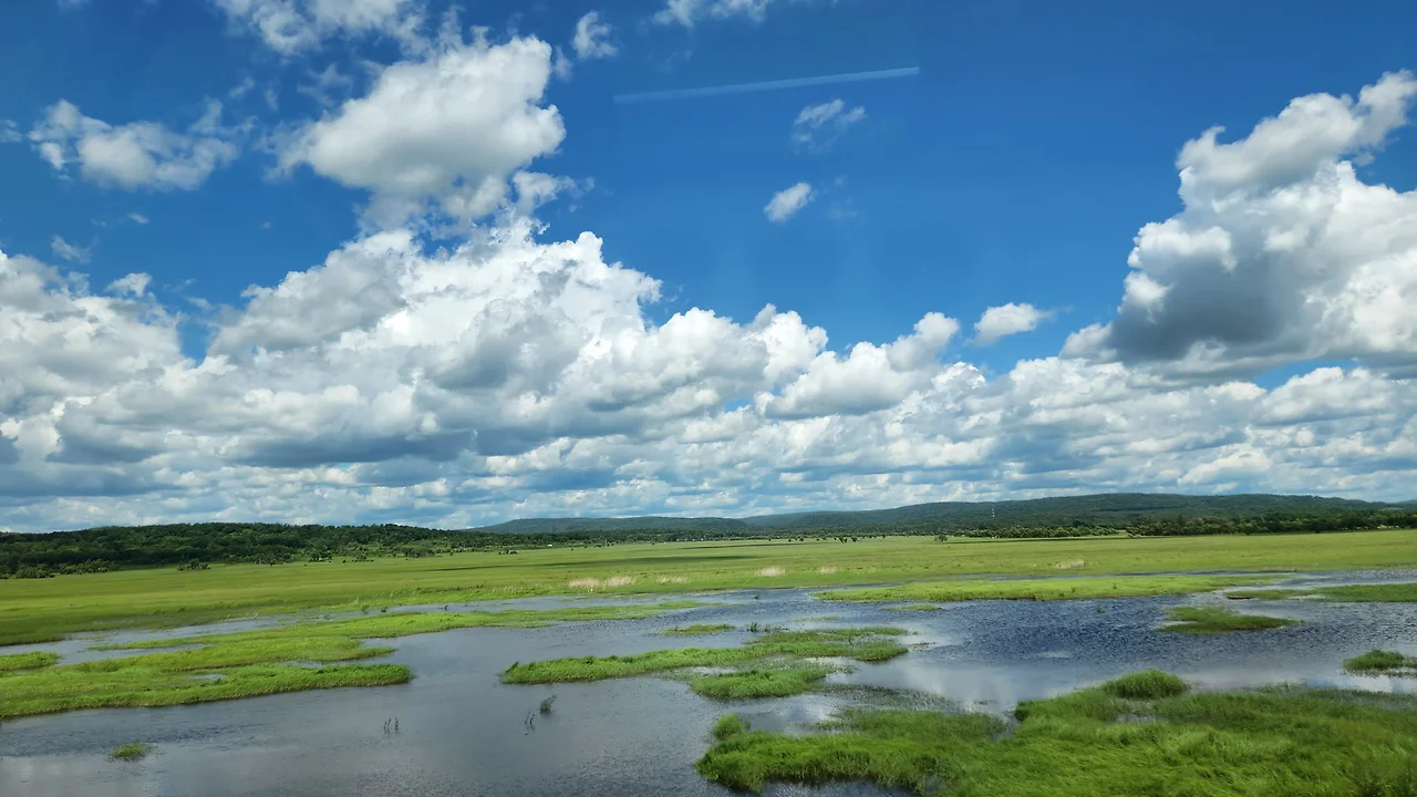 KakaoTalk_Photo_2022-07-07-17-56-36 017.jpeg