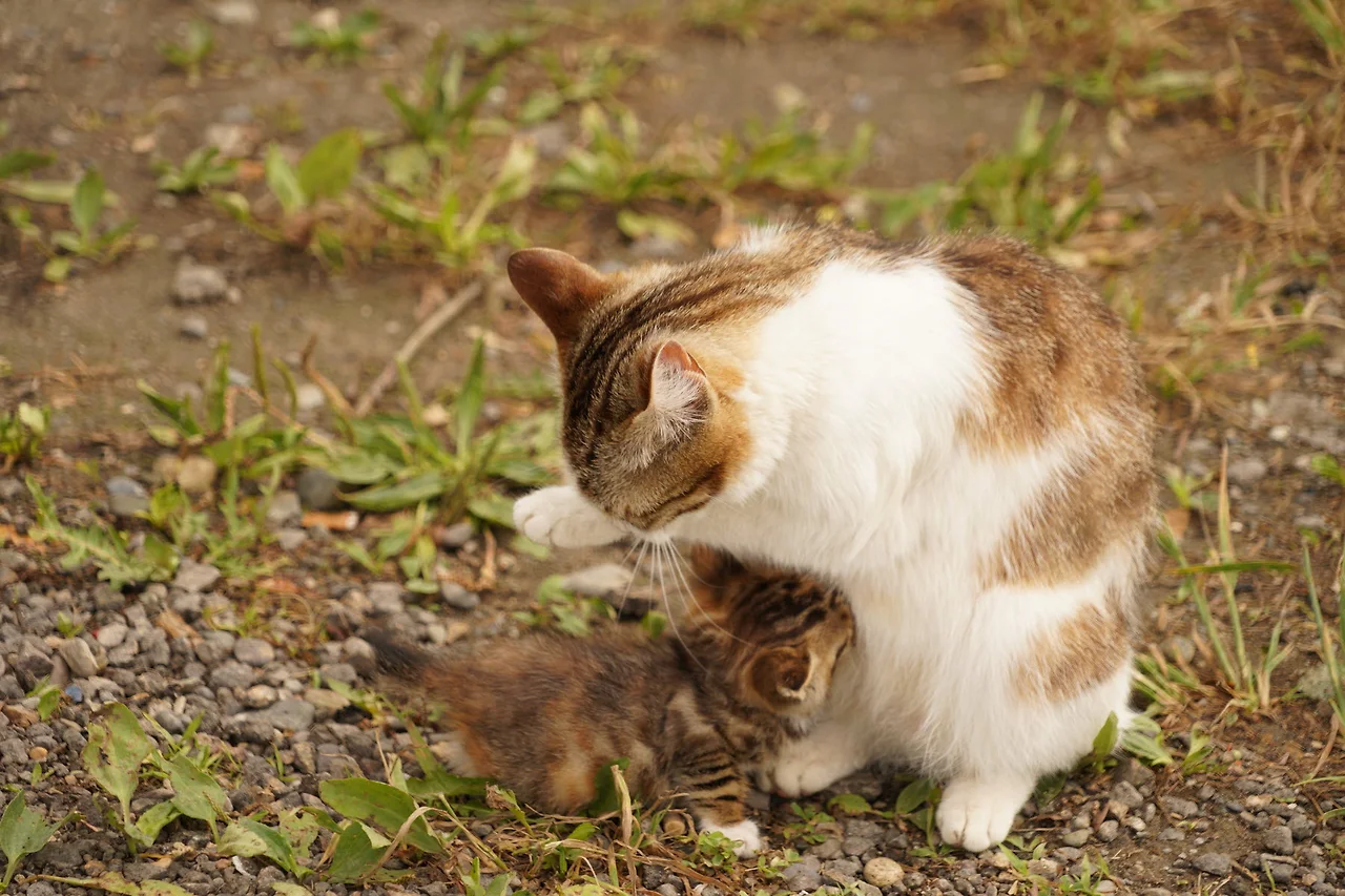 KakaoTalk_Photo_2022-07-07-17-56-55 008.jpeg