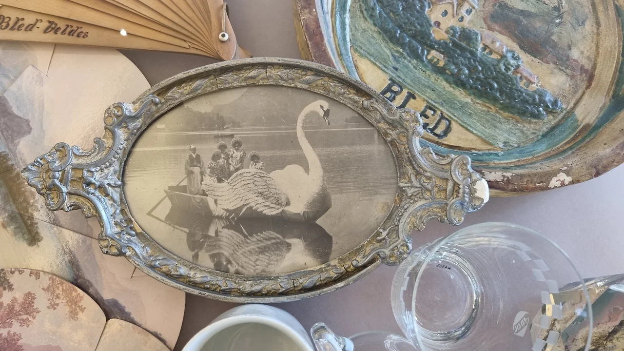 KakaoTalk_Photo_2022-09-03-09-55-40 030.jpeg